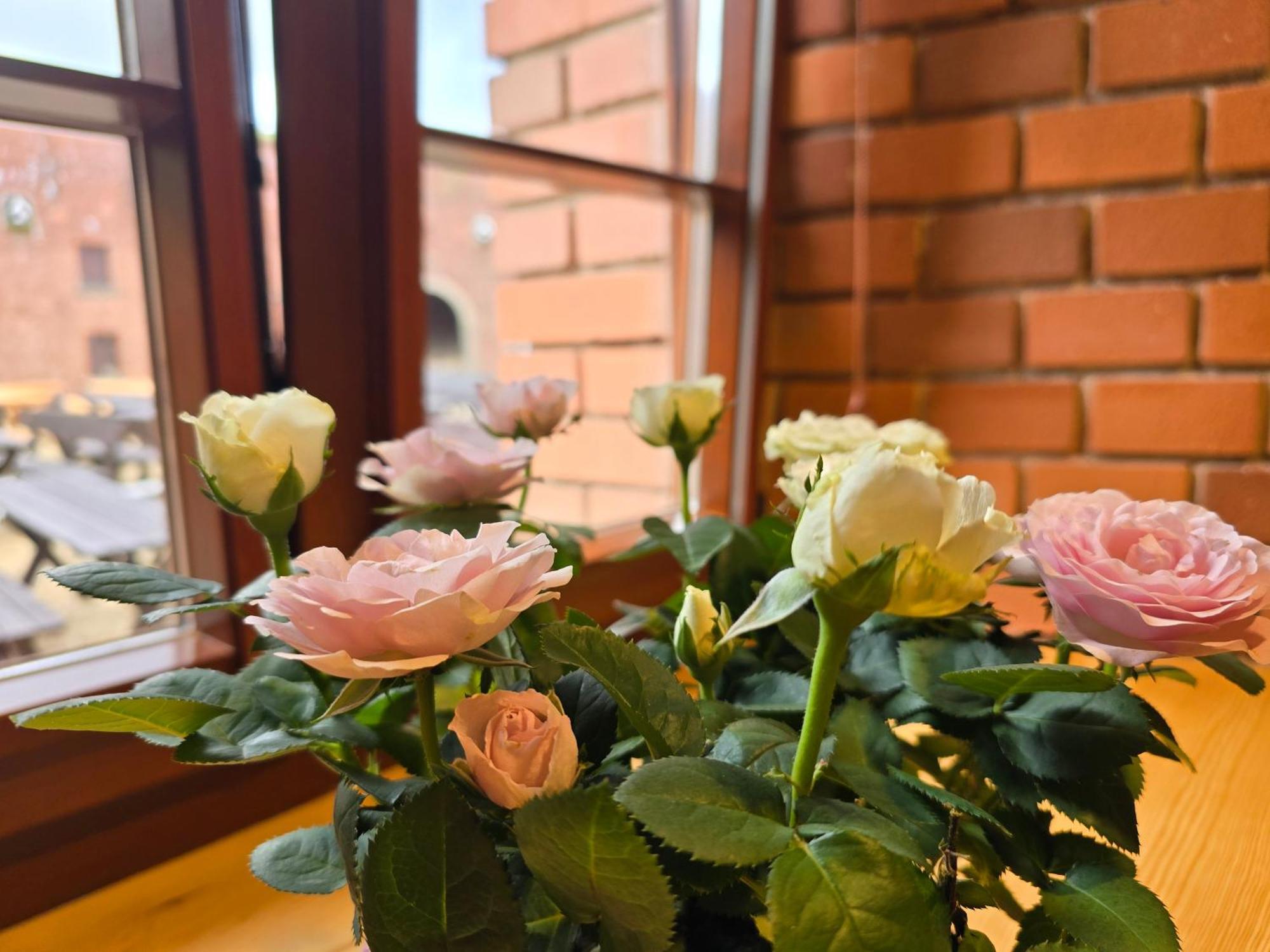 Twierdza Srebrna Gora Donzon Zewnętrze zdjęcie